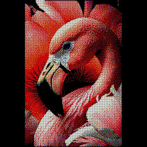 Flam1 Flam1